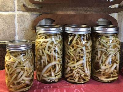photo of ramps, fresh and in a jar