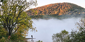 Foggy Fishing