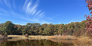 Harriet Tubman State Park and Visitor Center. Photo by Casey Bennett.