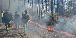 DNR forester Sean Weaver, left, walks along the fireline shortly after the start of a prescribed burn in Frederick. Photo by Joe Zimmermann