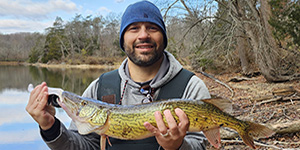 Vincent Tucciarella holds up a nice chain pickerel he caught in Loch Raven Reservoir. Photo courtesy of Vincent Tucciarella