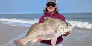Cayla Beam caught this hefty black drum while fishing the Assateague surf. 