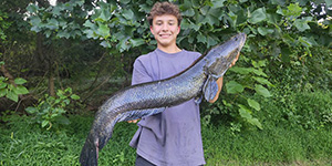 FishMaryland Master Angler Luca Tucciarella was fishing in the upper Bay waters when he caught this huge Chesapeake Channa, aka northern snakehead. 