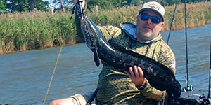 Larry Allman caught this Chesapeake Channa in the Middle River recently. 