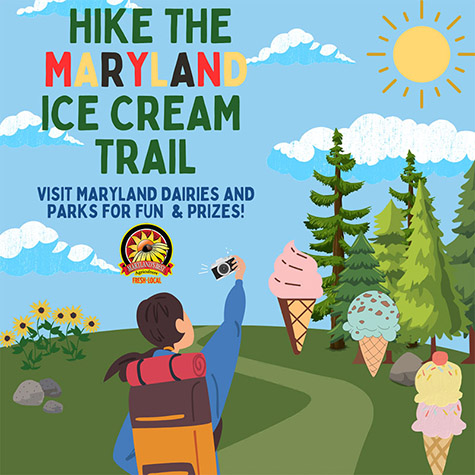 ice cream trail graphic