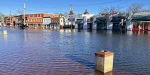 Flooding in Annapolis on Jan. 9. Photo submitted to MyCoast, Maryland Department of Natural Resources.