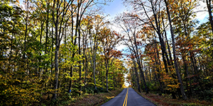 Oranges, browns and yellows show in the sun along a country road. Photo by Melissa Nash