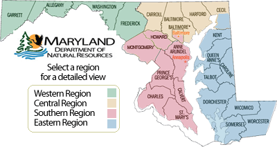 Region Map
