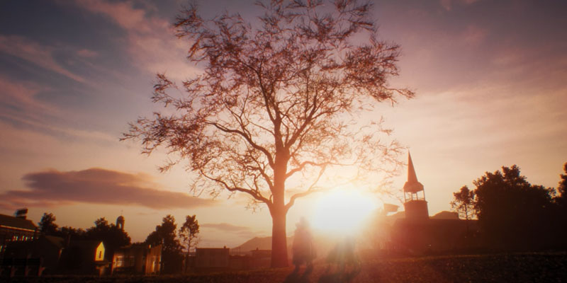 Mature tree in a park with the sun setting in the background