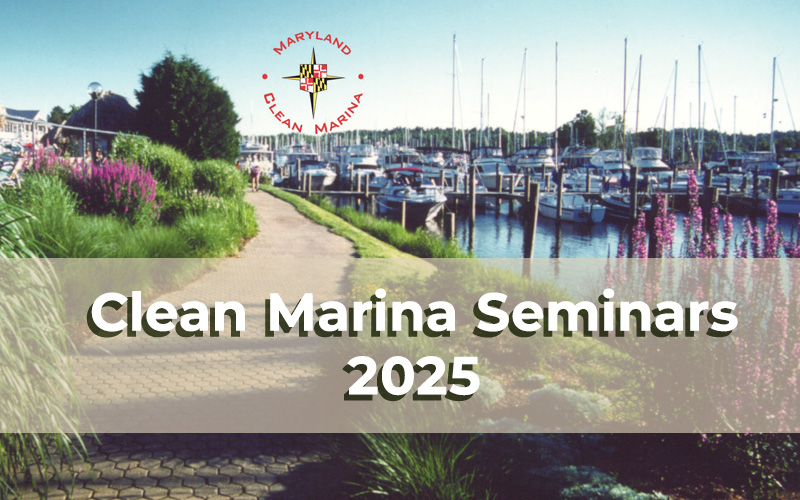 Clean Marina Seminars 2025