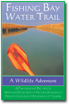 Cover of Tilghman Island Water Trails
