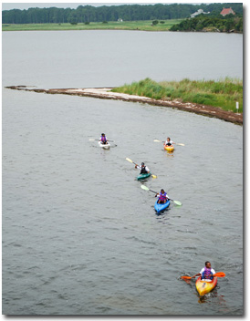 Kayakers paddling