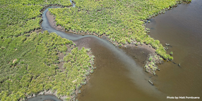 DNR Unit Renamed Watershed and Climate Services to Highlight Focus on Restoration and Resilience