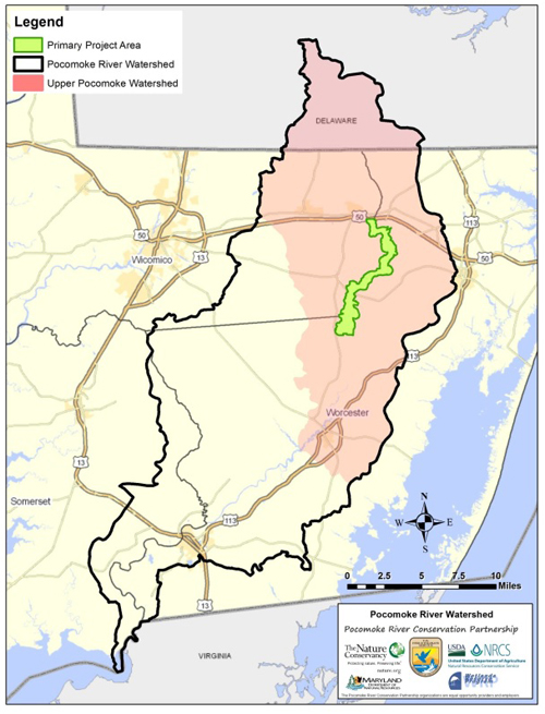 Map showing Pocomoke River watershed on the eastern shore of Maryland, Delaware, and Virginia.