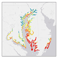 Shoreline Hazard Index Map 