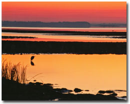 Sunset on the bay - Photo by Joel Hawtof