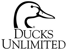 Ducks Logo