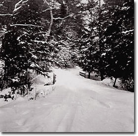Poplar Lick Road, New Germany State Park, 1941