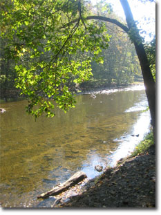 Patapsco River from Orange Grove area of the Park