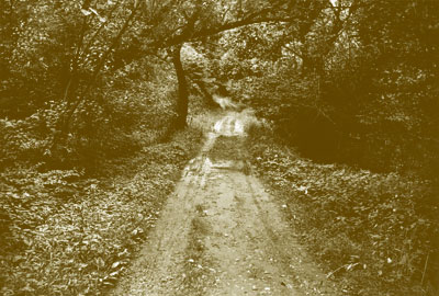 River Road Near Avalon, Patapsco Forest Reserve, June 1920