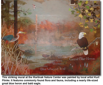 This striking mural at the Martinak Nature Center was painted by local artist Kurt Plinke. It features commonly found flora and fauna, including a nearly life-sized great blue heron and bald eagle.