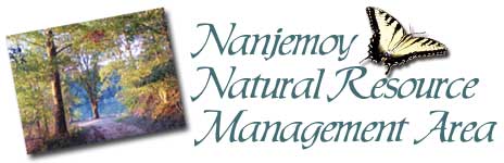 Nanjemoy Natural Resource Management Area