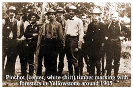 Pinchot (center, white shirt) timber marking with foresters in Yellowstone around 1905.