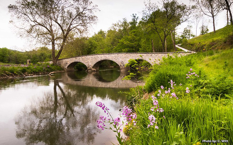 Five Maryland Watersheds Selected for Whole Watershed Act Grant Funding To Support Environmental Restoration and Economic Development