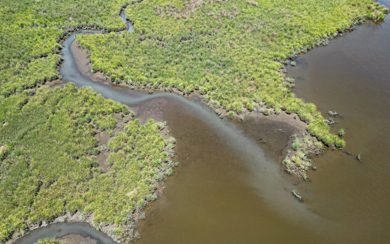 DNR Unit Renamed Watershed and Climate Services to Highlight Focus on Restoration and Resilience