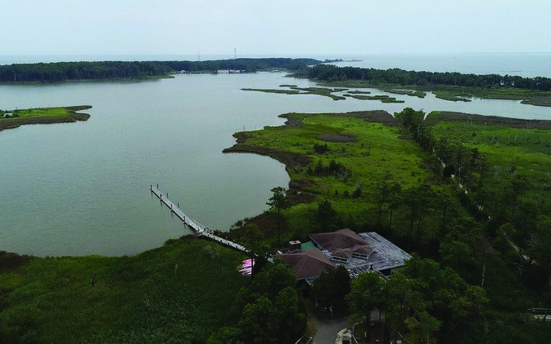 Point Lookout State Park To Adapt Facilities, Build Living Shoreline for Climate Resilience