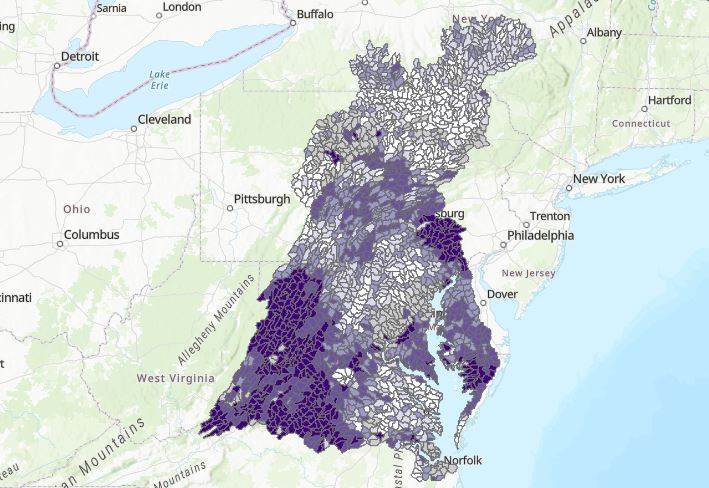 Restoration and Resilience Mapper  ​