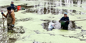 people in water