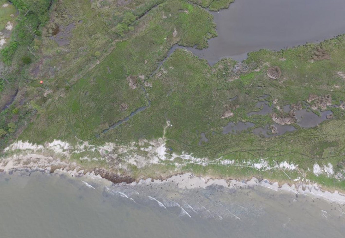 Using wetlands to build coastal resilience