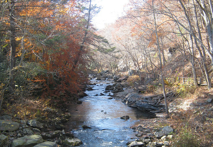 Maryland Tree and Forest Carbon Flux: 2020 Maryland Greenhouse Gas Inventory