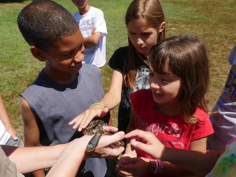 scales and tales event