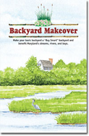 Backyard Makeover Cover
