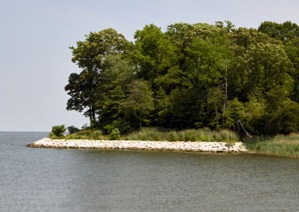 Shoreline Buffer image