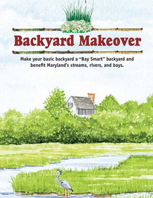 Cover of Backyard Makeover