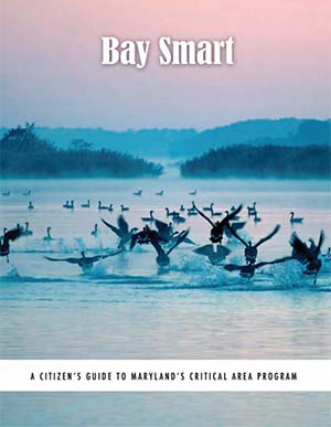 Cover of Bay Smart Publication