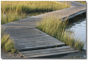 marsh bridge image
