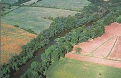 Arial Farm image