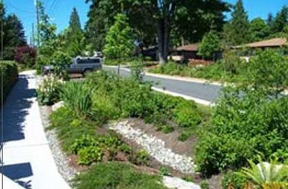 Example of a stormwater situation on the side of a neighborhood street