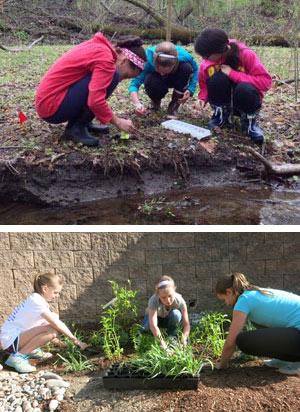 Roland Park Country School - Stream Studies in Action