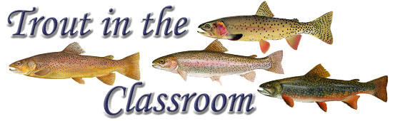 Trout in the Classroom Header
