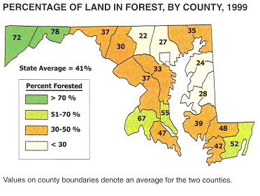 a breakdown of percentage of land in forest by county in 1999