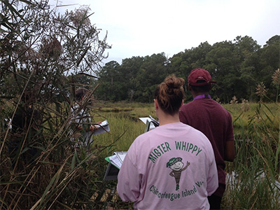 Students walking in a marshy area with clipboards