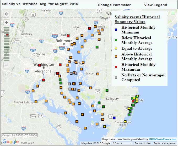 Weekly Fishing Report Archive