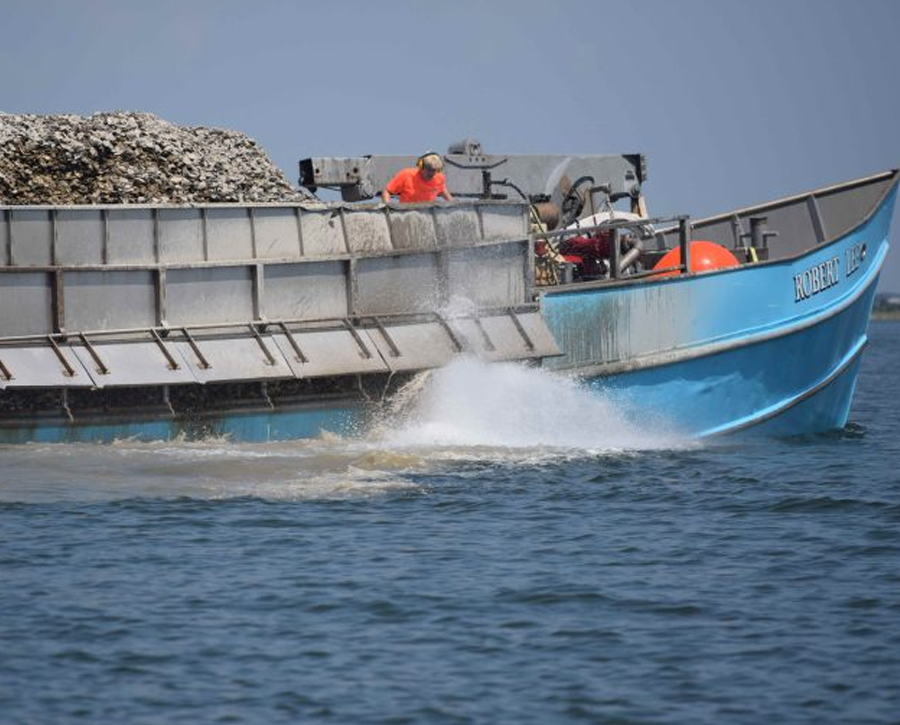 DNR Report Marks Five Years of Upward Trajectory for Maryland’s Oyster Populations