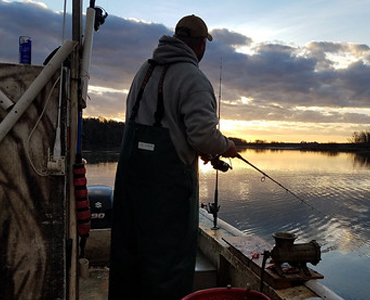 Maryland DNR Introduces Commercial Blue Catfish Pilot Programs