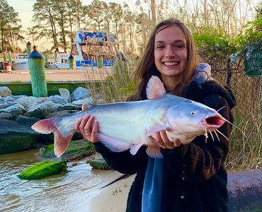 Join the Hunt: How to Catch a Blue Catfish in Maryland